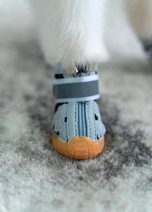 Ботинки для собак - breathable pet shoes, grey, m: 4х5 см2 фото