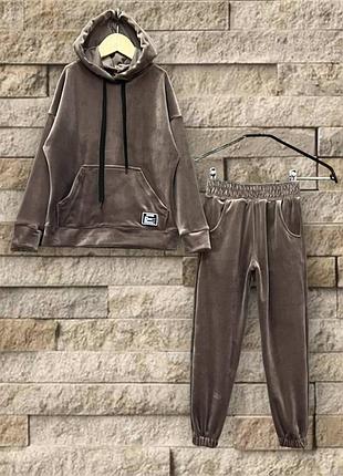 Коричневый велюровый демисезонный костюм