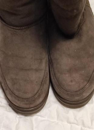 Женские зимние  сапоги ugg australia3 фото