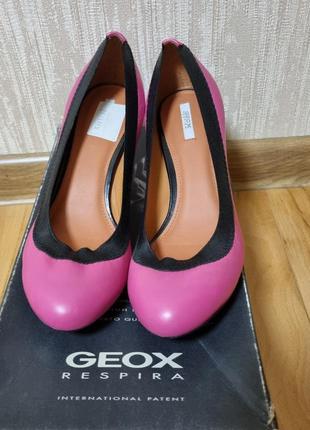 Кожаные туфли geox2 фото
