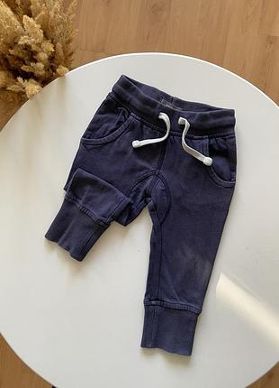 Спортивні штани, штани