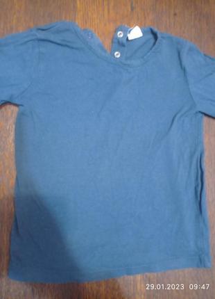 Реглан 98 розміру 1006