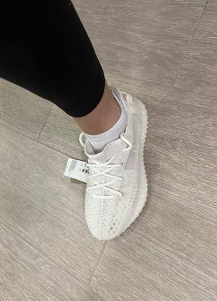 Кросівки yeezy boost 350 v22 фото