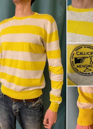 Чоловічий светр calliope, l2 фото