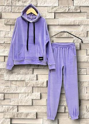 Бузковий велюровий демісезонний костюм