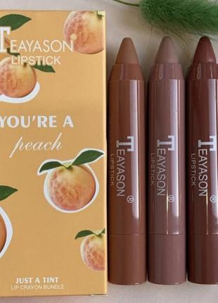 Набір помад-олівців для губ lipstick teayason3 фото