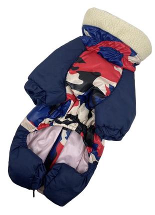 Комбинезон для собак такс, корги и других коротколапых унисекс2 фото