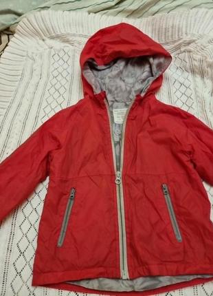 Вітровка zara