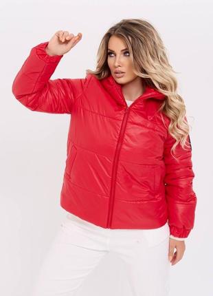 Куртка 5 цветов