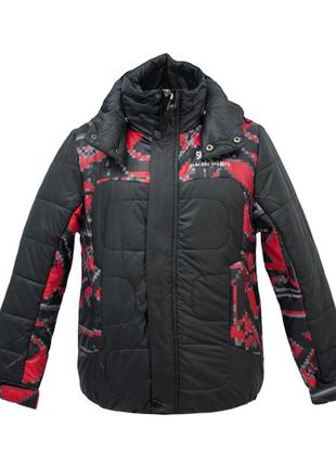 Куртка демисезонная для мальчика skorpian