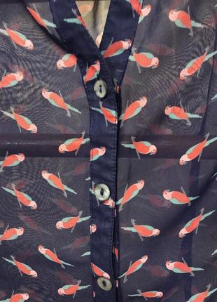 Очень красивая и стильная брендовая блузка в птичках 19.