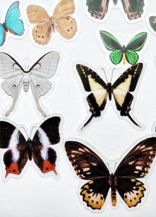 Набор #9 наклейки для скрапбукинг, бабочки, картинки изображения марки стикеры для ежедневников блокнота скетча книжка2 фото