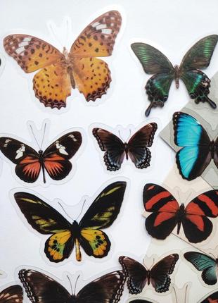 Набір #49 наліпки для скрапбукінг, метелики, картинки зображення марки стікери для щоденників блокнота скетча записника5 фото