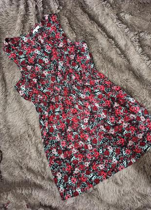 Плаття сукня