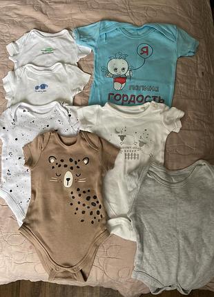 Боді боди бодики одним лотом