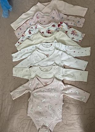 Боді бодик бодики лот одним лотом