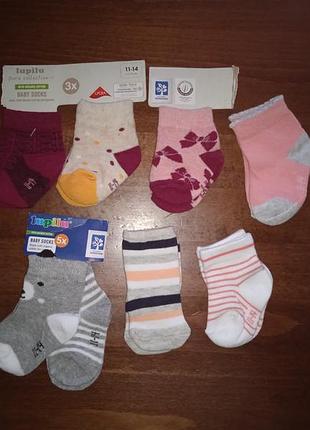 Шкарпетки носки
