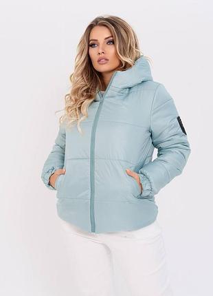 Куртка хит продаж !!.48-62