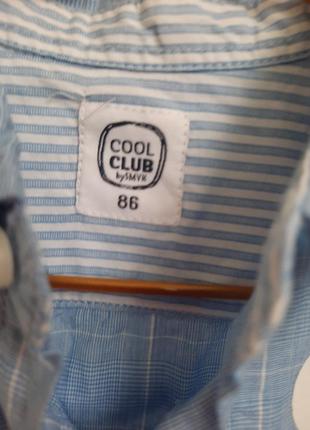 Боді сорочка cool club3 фото