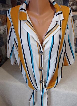 Блузка блуза в полоску з вузлом батал