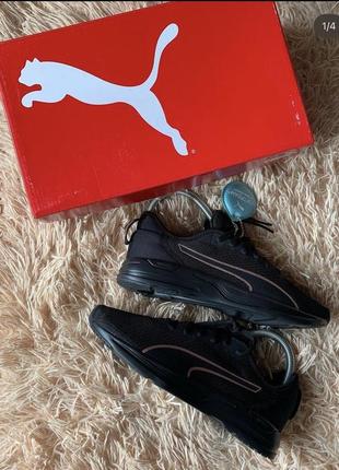 Кросівки , Knit puma , оригінал