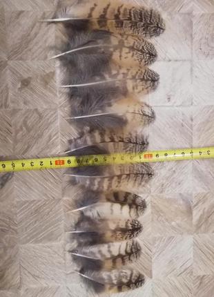 Ушитая сова перо перьев покров 5 см - 8 см1 фото