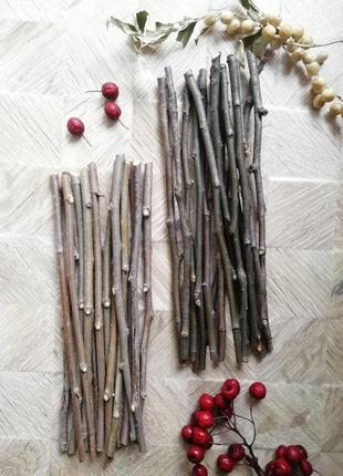 Погризушки гілочки плодових дерев дерев'яні палички для птахів гризунів1 фото