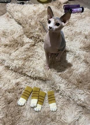Носки для собаки кота