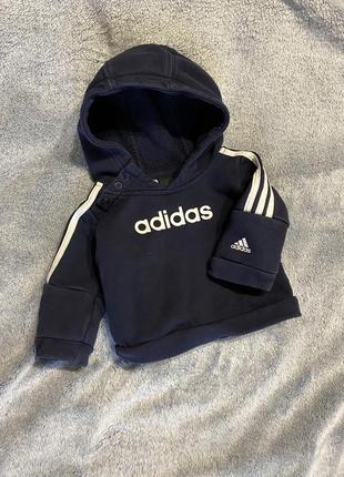 Стильный худи adidas, кофта, свитерок, свитшот. худи