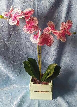 Орхидея из латекса/искуственная орхидея1 фото