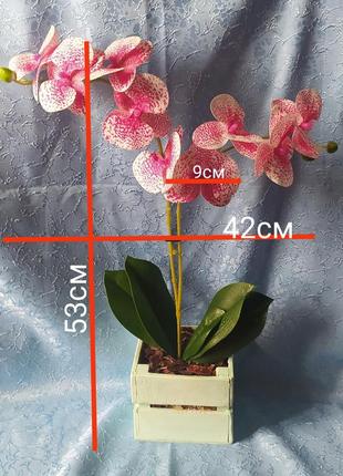 Орхидея из латекса/искуственная орхидея2 фото