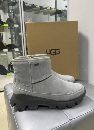 Ugg palomar sneakers черевики ботінки теплі шерсть оригінал