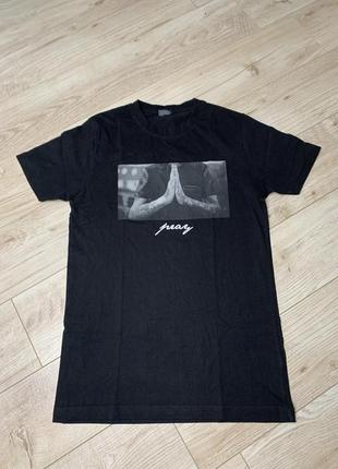 Футболка мужская mister tee