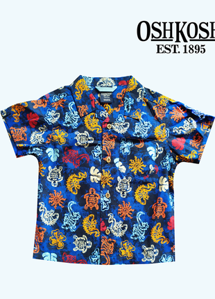Сорочка, теніска поло на хлопчика oshkosh