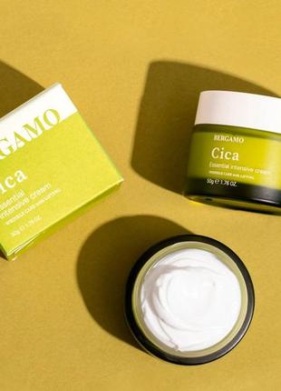 Bergamo cica essential intensive cream восстанавливающий крем для лица с экстрактом центеллы3 фото