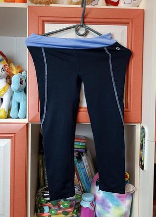 Лосины бриджи