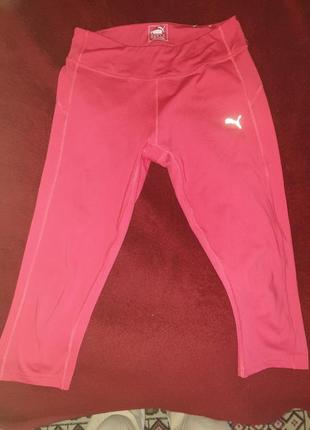 Спортивные леггинсы, лосины puma