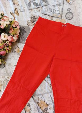 Жіночі штани tchibo, розмір 50-524 фото
