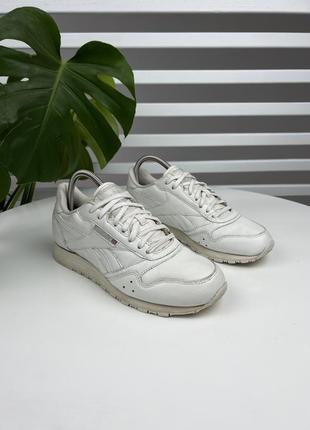 Оригінальні шкіряні кросівки reebok classic1 фото