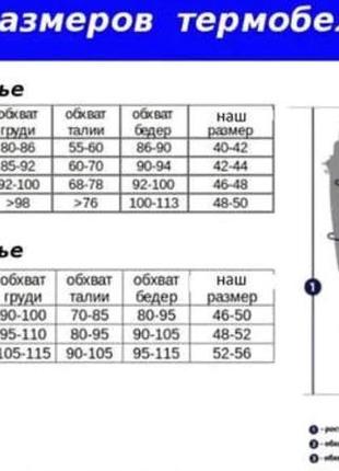 Термобелье, зональное, crivit