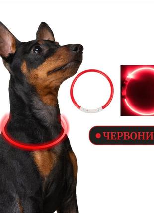 Нашийник для собак led, що світиться, регульований з usb зарядкою.1 фото