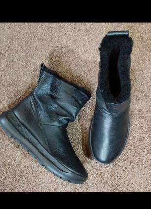 ПолусапогиEcco M Terracruise II Gtx® Tex
