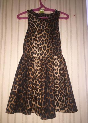 Сукні з леопардовим принтом