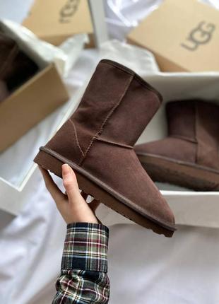 🍫 ugg classic tall i| boot brown 🍫1 фото