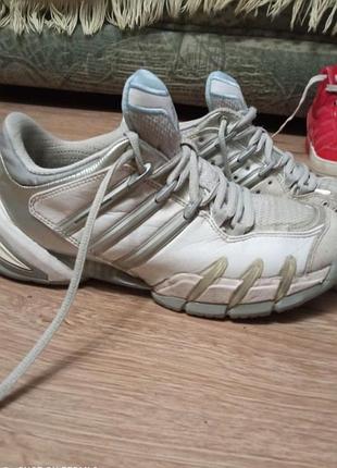 Adidas originals
