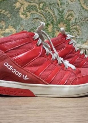 Adidas  кросівки1 фото