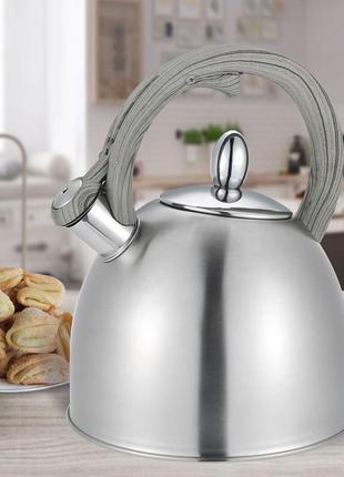 Чайник з нержавіючої сталі maestro mr 1312 2.5л classic