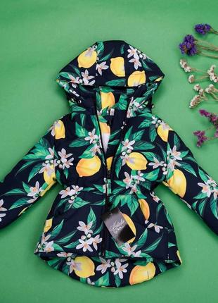 Демісезонна парка. демісезонна куртка. весняна куртка