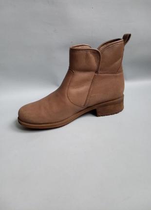 Кожаные ботинки ugg6 фото