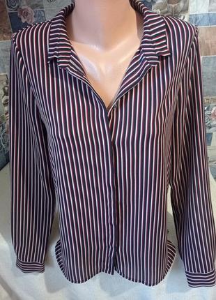 Блуза блузка в смужку на гудзиках